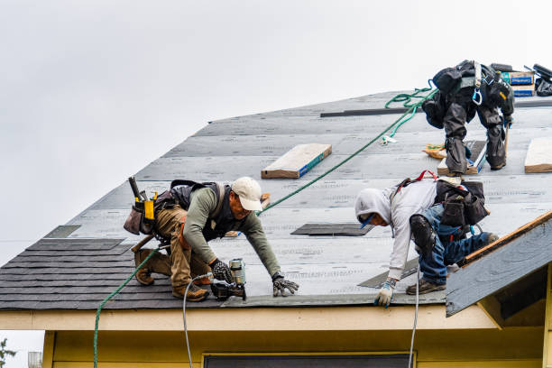 Professional Emergency Roof Repair technician working in Hazelwood, NC